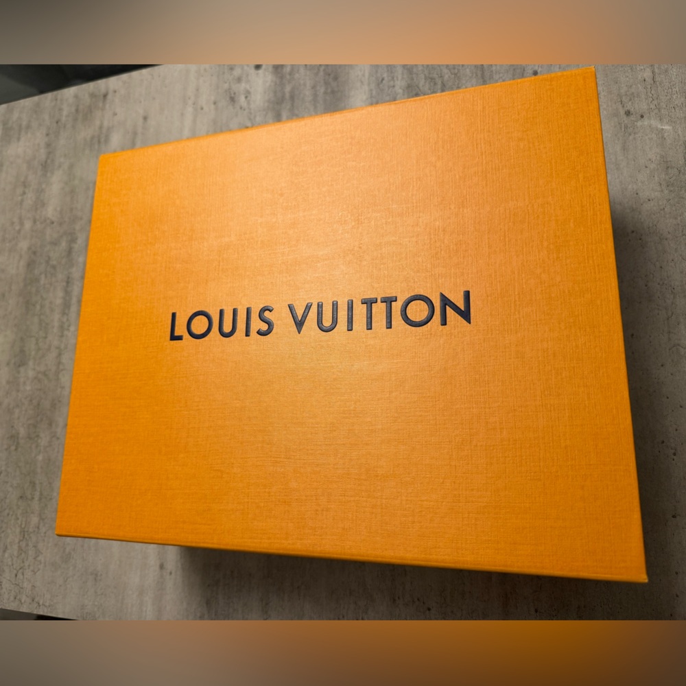 Louis Vuitton Medium Box and shopping bag